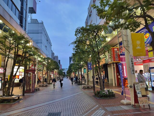 IMG_20221027_163619053