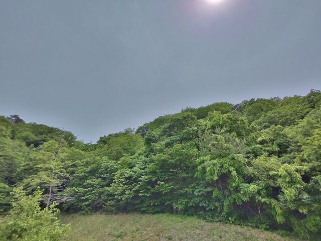 IMG_20220521_131142889_HDR