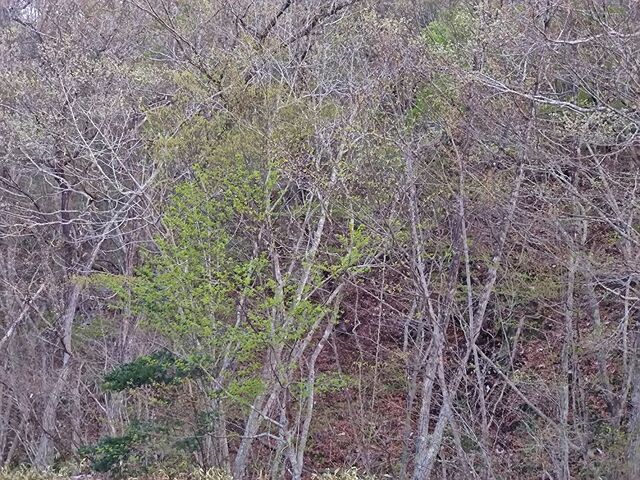 IMG_20220419_182345596