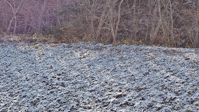 IMG_20221230_102105731