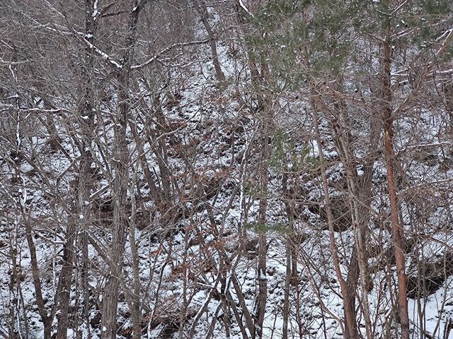 IMG_20220205_131836695