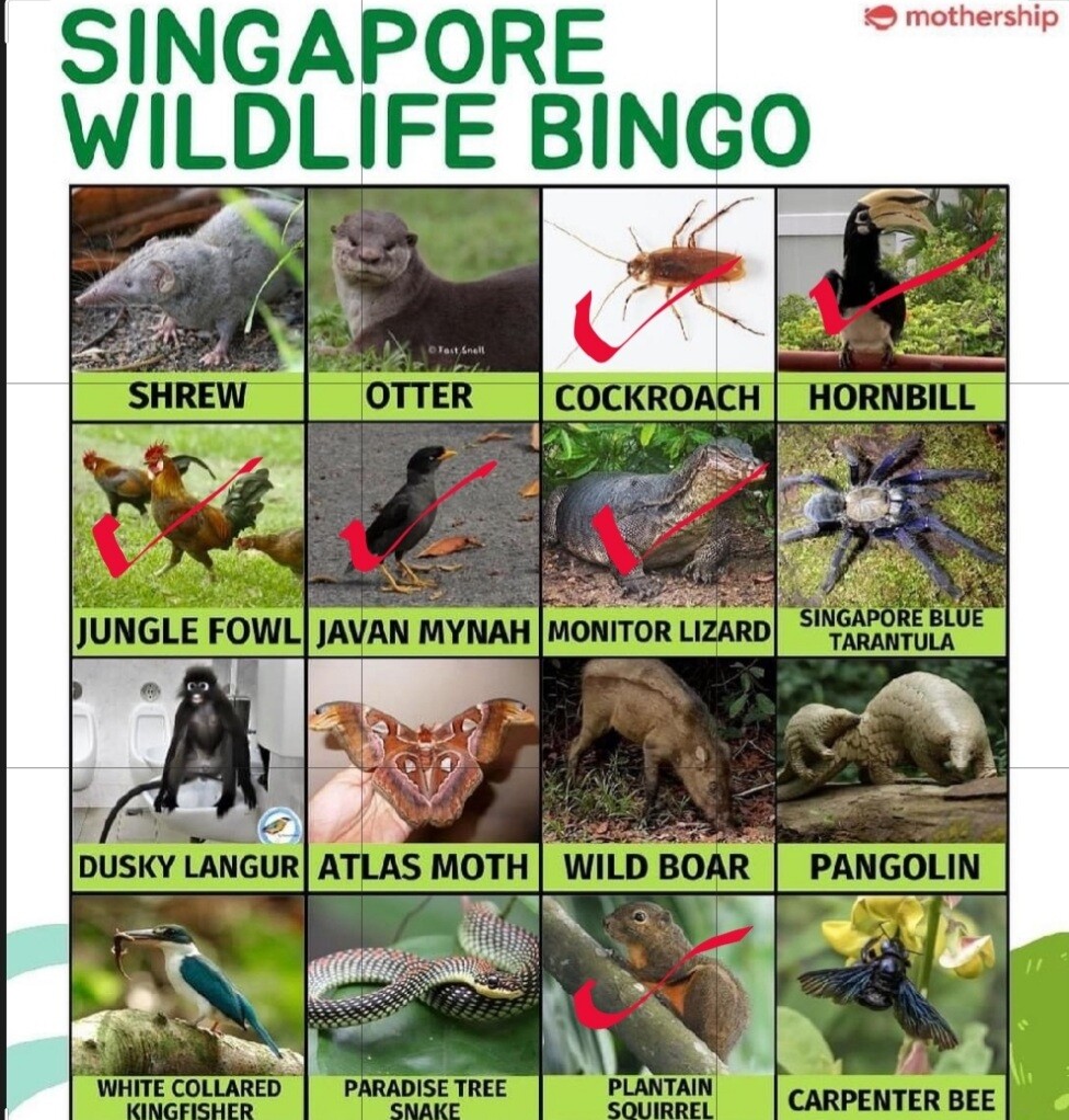 牛肉麺 Lenu Chef Wai S Noodle Bar アジアで過ごすテキトーな日々 牛肉麺 Lenu Chef Wai S Noodle Bar アジアで過ごすテキトーな日々