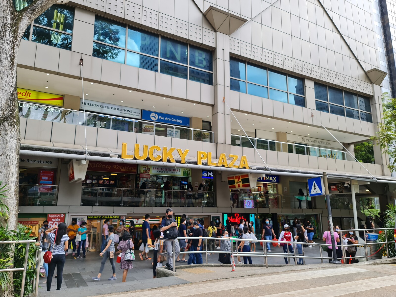マジうま ラッキー チキンライス Lucky Plaza シンガポールで過ごすテキトーな日々