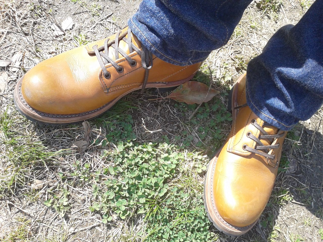 レッドウィング ベックマン9013 けにのblog