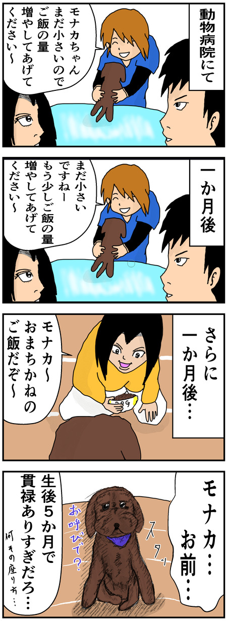 犬の成長期