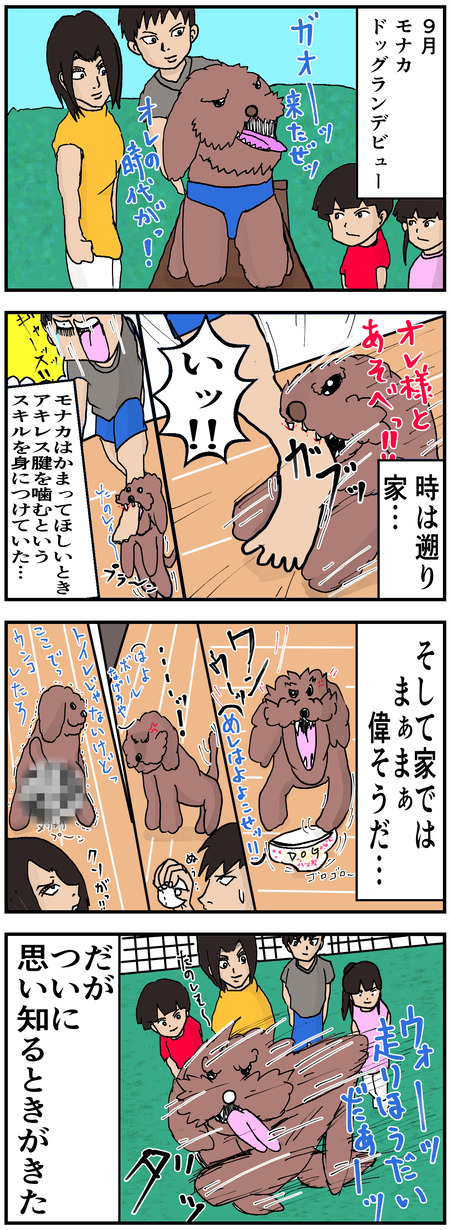 犬には絶対服従の犬
