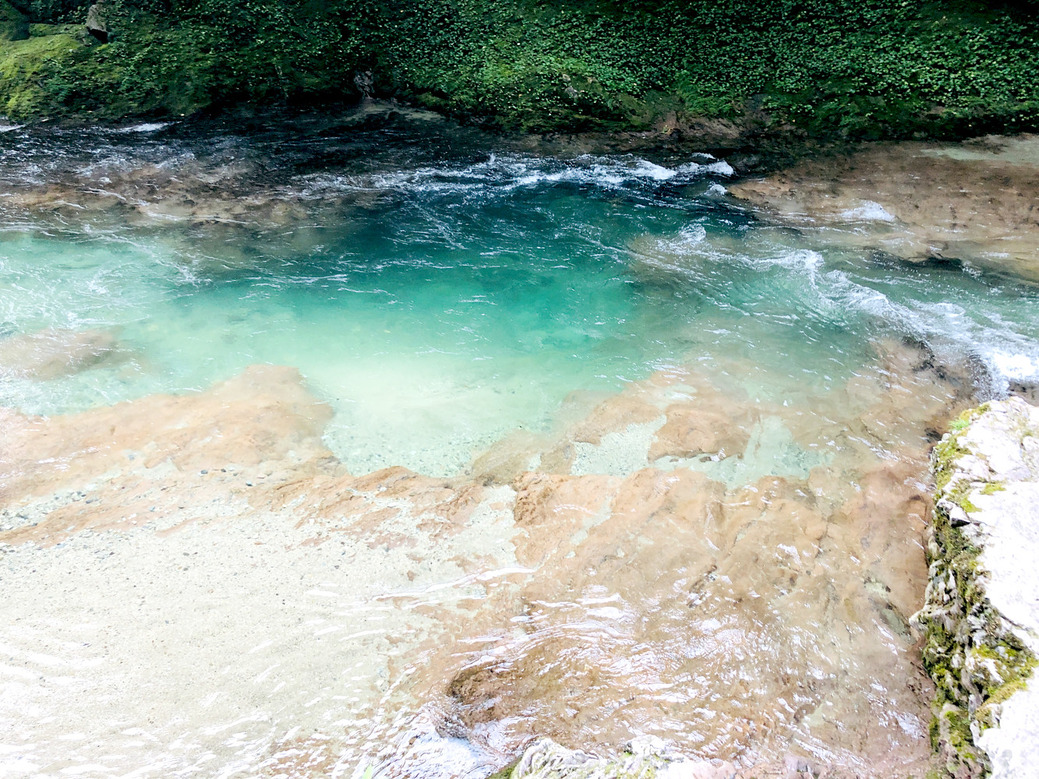 写真 2022-08-05 15 12 42