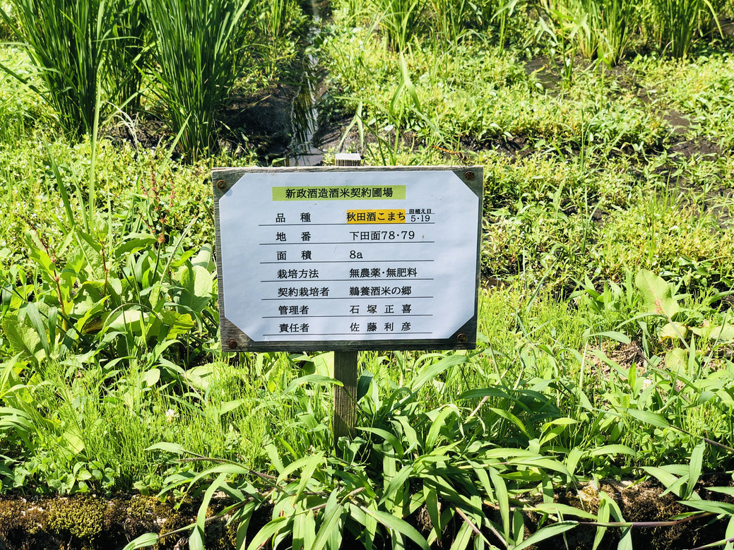 写真 2022-08-05 14 04 15