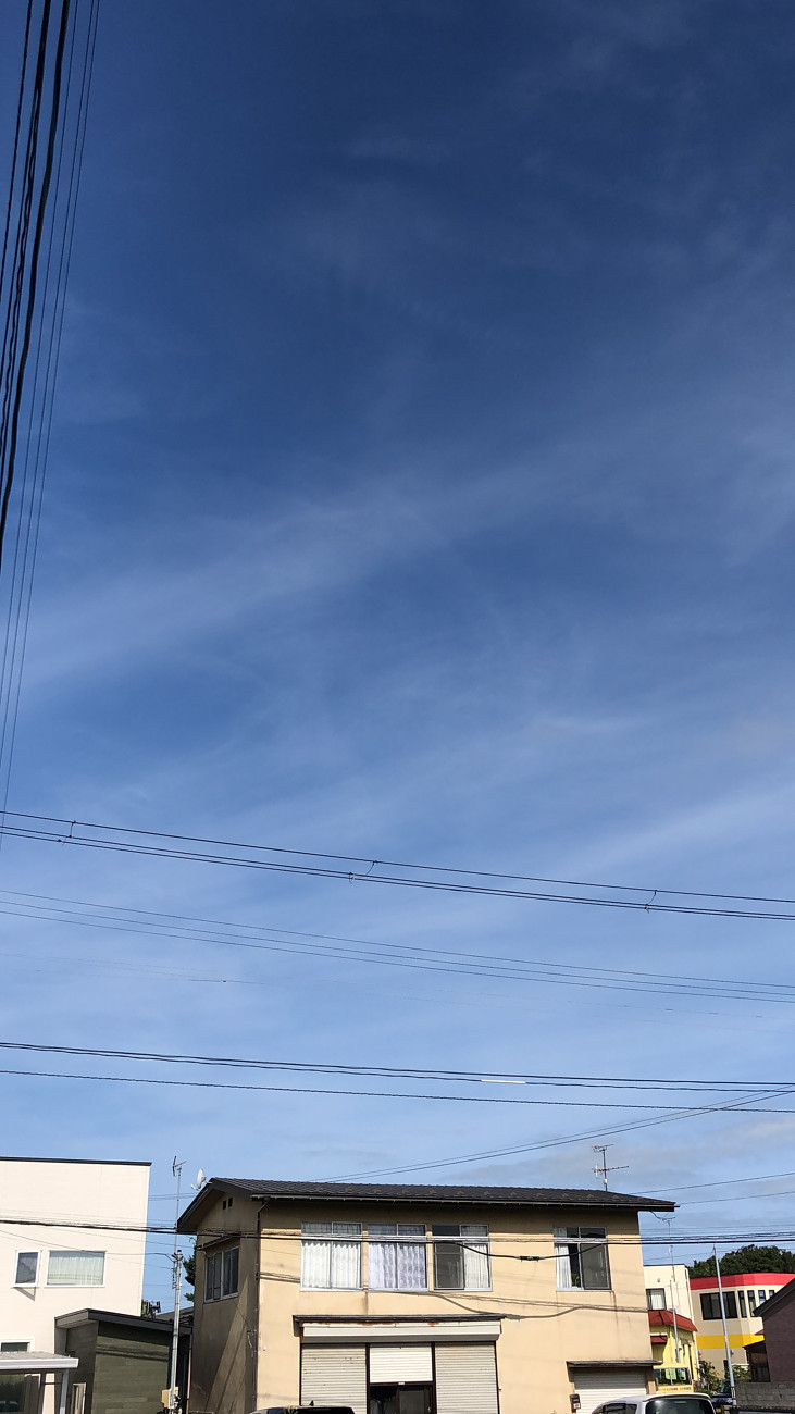 写真 2022-08-04 8 21 41