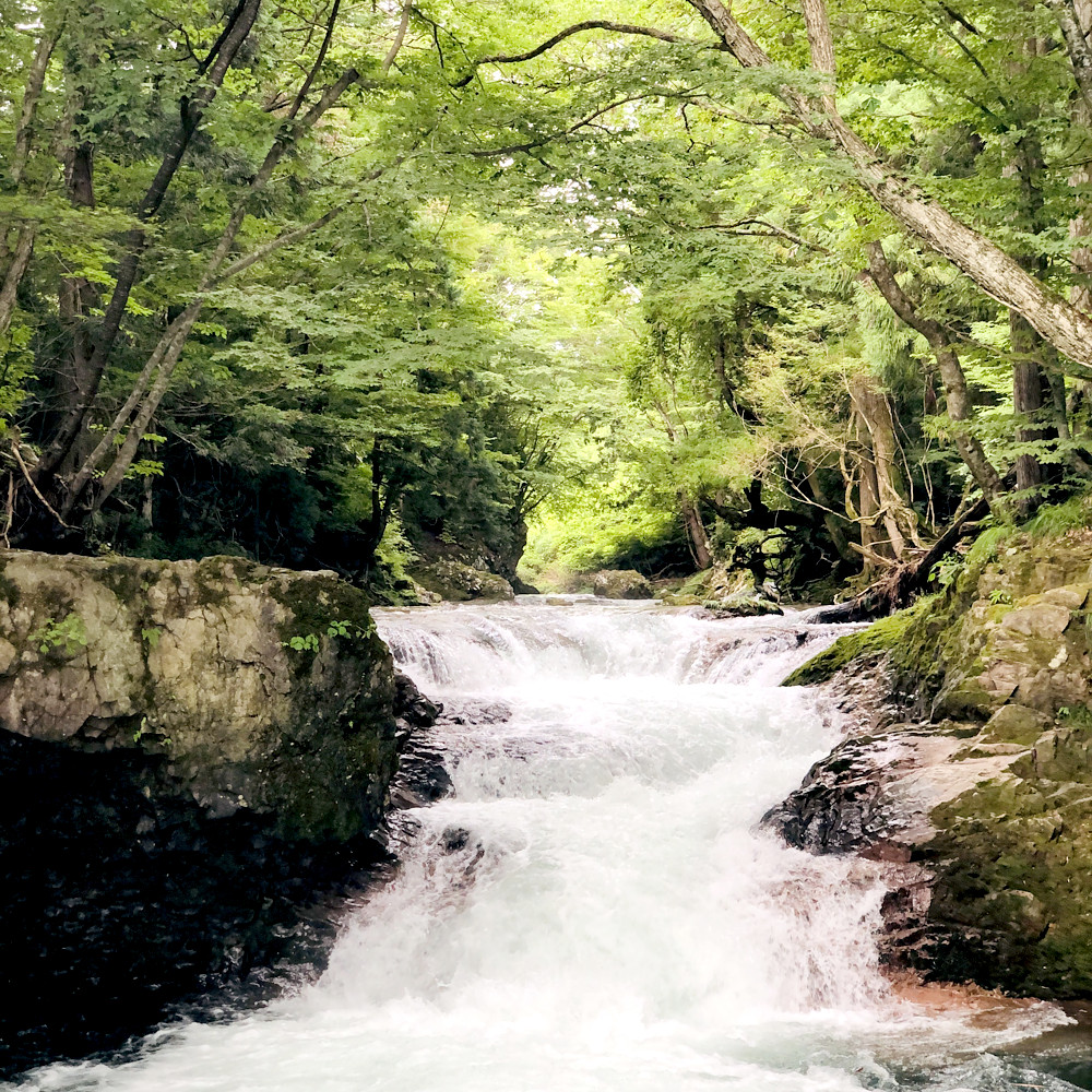 写真 2022-08-05 15 12 24