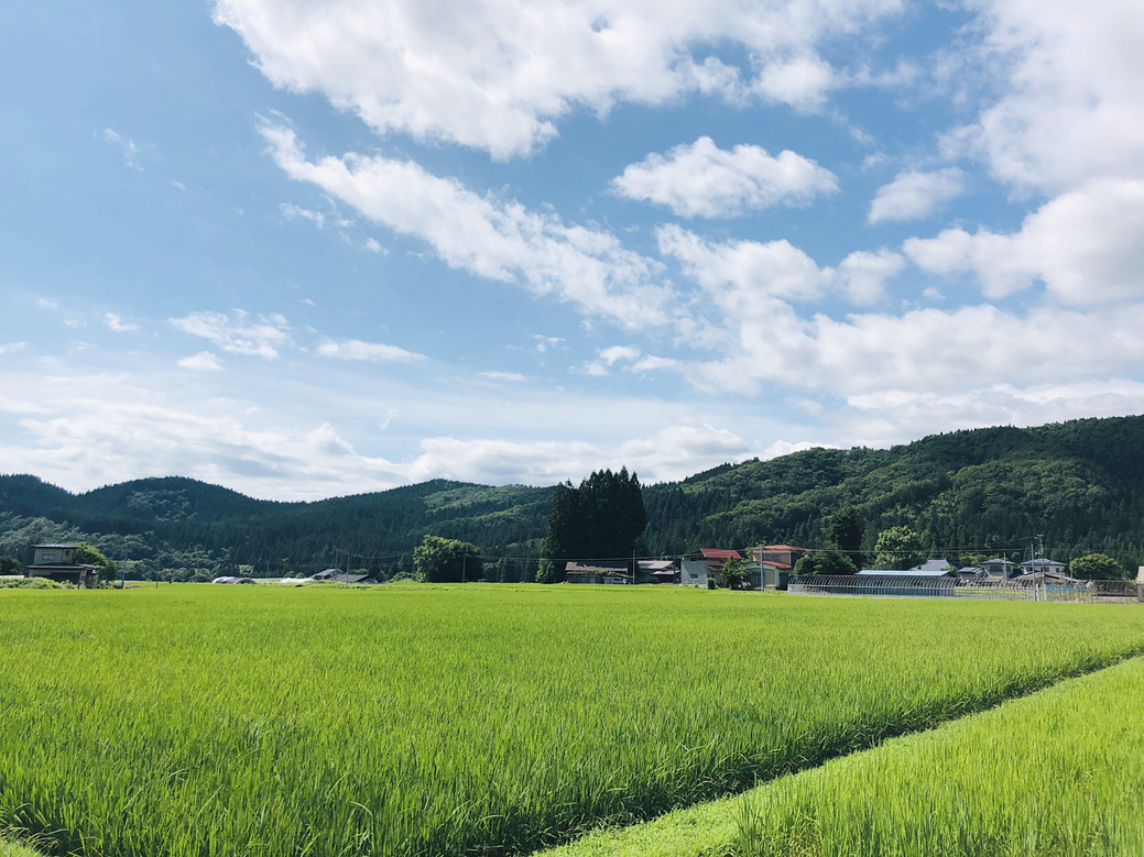 写真 2022-08-05 14 04 03