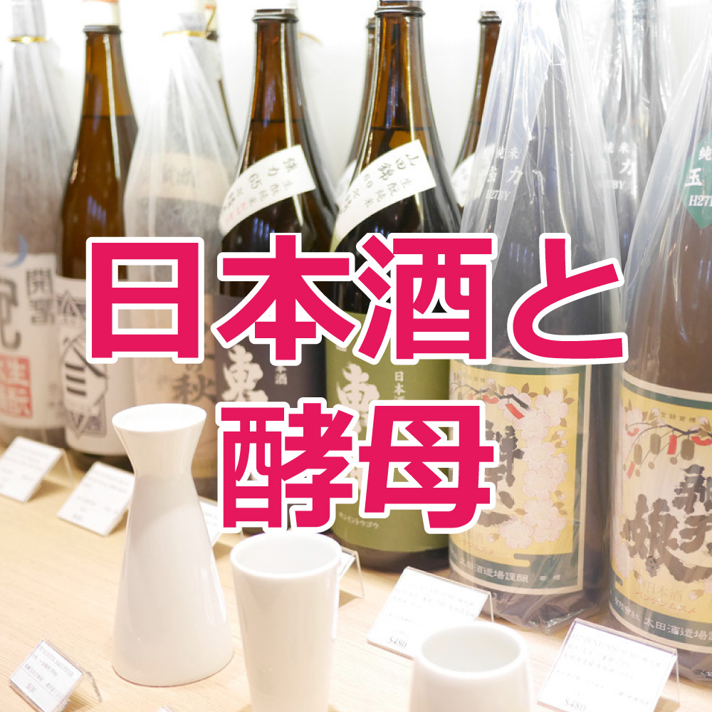 酵母ブログ用