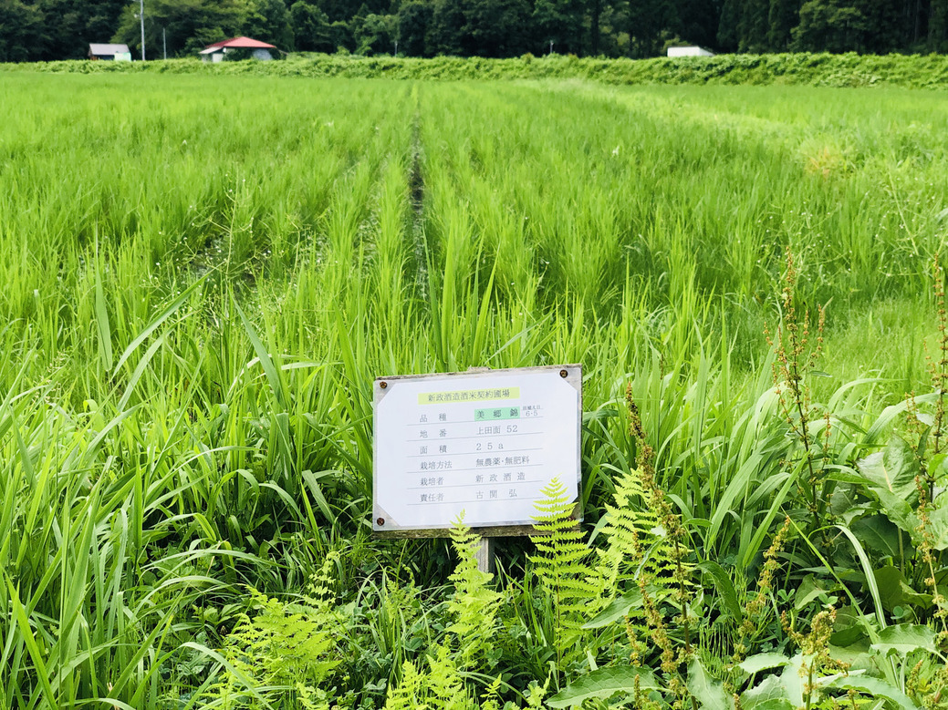 写真 2022-08-05 14 45 21