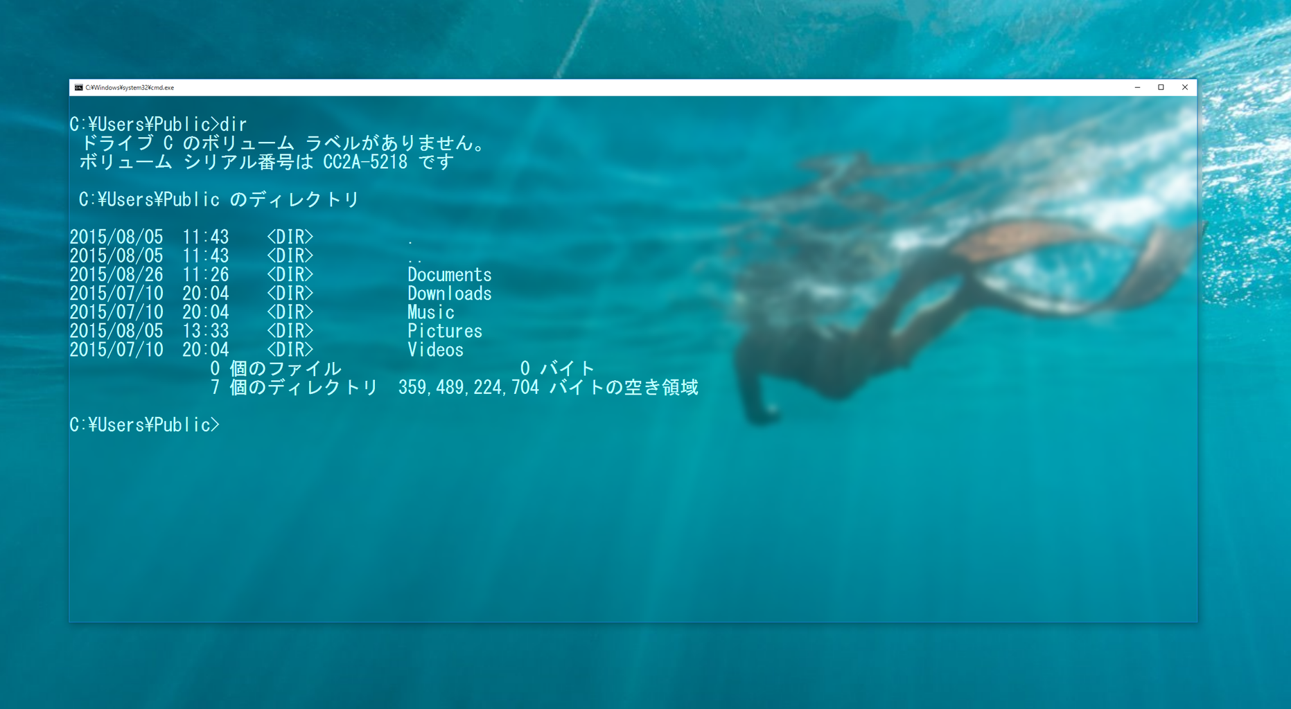 無駄にかっこいいコマンドプロンプト（Win10限定） : 未知の破片
