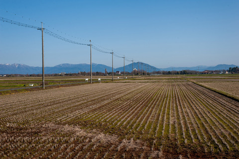 rinmon130307_TP_V4