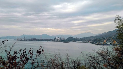 IMG_20211224_150217 のコピー