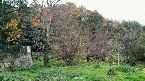 IMG_20191207_105505