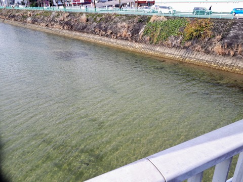 20200301_093545