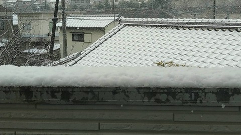 IMG_20220205_081047