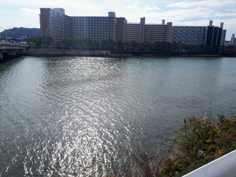 20200301_093630