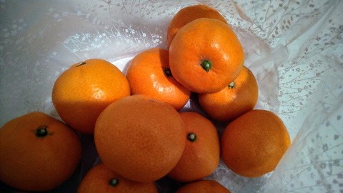 IMG_20201210_211319