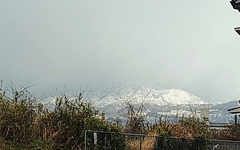 IMG_20200316_074736