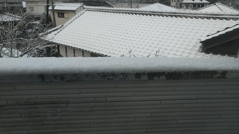 IMG_20210218_071138