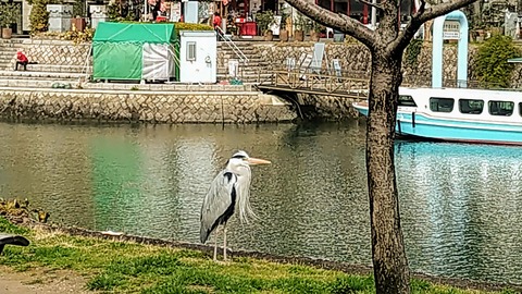 IMG_20200316_140620