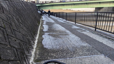 PXL_20230129_230458370