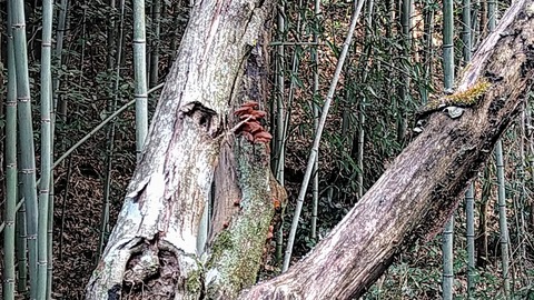 IMG_20200126_132836