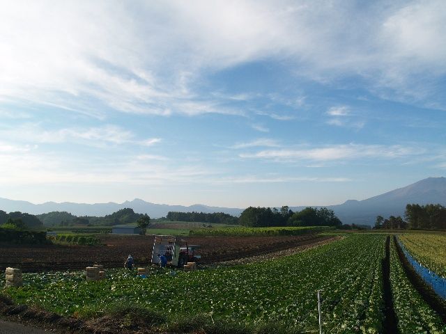 イメージ 3