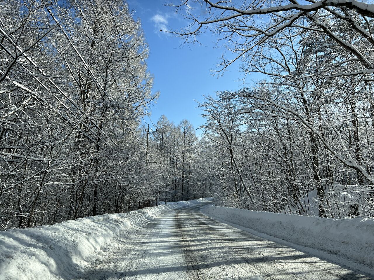 雪と寒さに耐える冬 : 北軽井沢 虹の街 爽やかな風