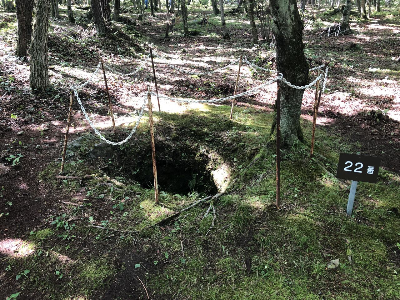 浅間山溶岩樹型保護整備作業 北軽井沢 虹の街 爽やかな風 浅間山溶岩樹型保護整備作業 北軽井沢 虹の街 爽やかな風