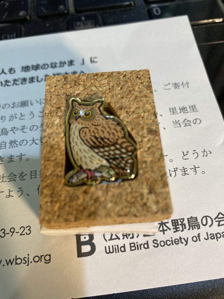 幸福をよぶ鳥 フクロウ が棲む森を守りたい 北軽井沢 虹の街 爽やかな風 幸福をよぶ鳥 フクロウ が棲む森を守りたい 北軽井沢 虹の街 爽やかな風