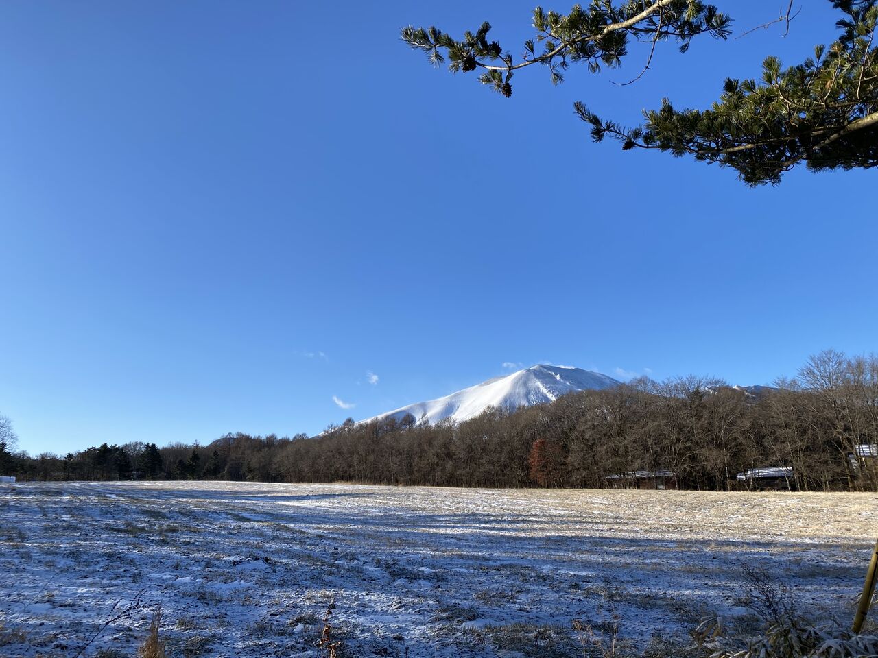 初冬の草原に佇むトラクター 北軽井沢 虹の街 爽やかな風