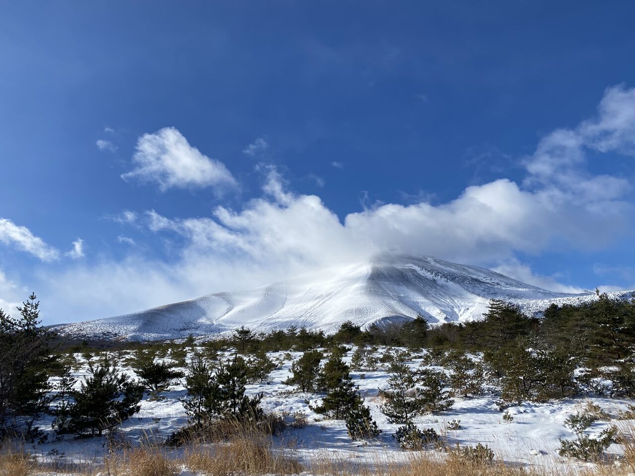 ジオパーク 浅間 麓 山 北