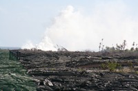 IMG_1455