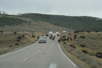 IMG_7883