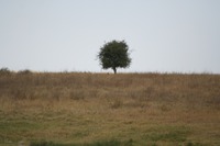 120822_145202