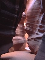 IMG_2891
