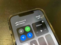 DualSIM