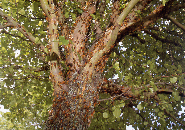 c7e34435.jpg