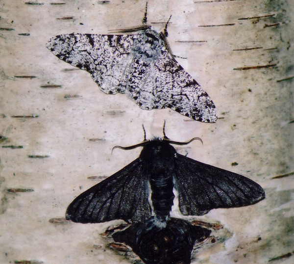 c807e23c.jpg