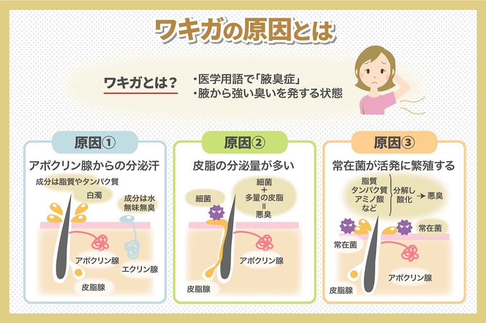 ワキガ 確認する方法, わきが におい 自分でわかる – VBSAL