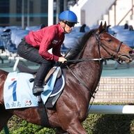 香港チャンピオンズデーに挑む関西馬たちの魅力