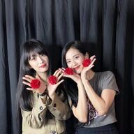 BLACKPINKの姉がバラエティ出演！？期待しかないやんけｗｗ