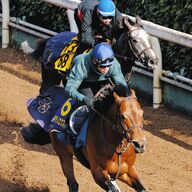 過去データから紐解く高松宮記念：連対なしの厳しさとは？