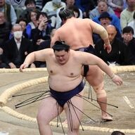 【朗報】安青錦、白星発進やんけ！若元春どうした？