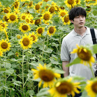 【朗報】坂口健太郎の新作映画、将棋で人生一発逆転やんけ！