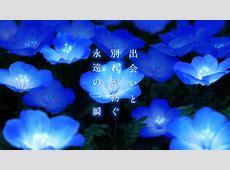 十六輪目の約束：さよならの朝に思うこと